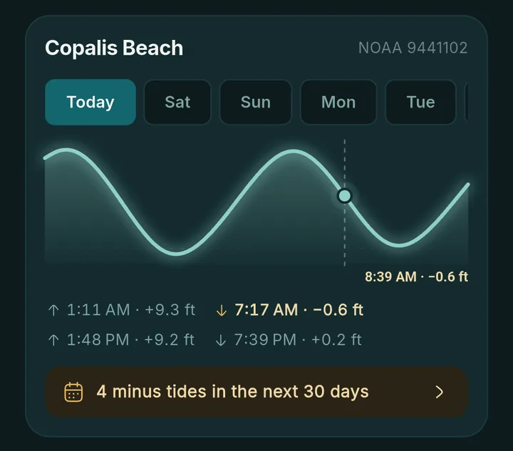 DigTide tide chart for Copalis Beach with a minus 0.6 foot low tide at 7:17 AM and a note that there are four minus tides in the next 30 days
